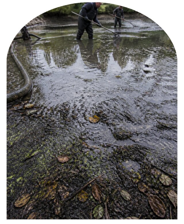 Очистка пруда в Кашире от ила мусора и водорослей с вывозом
